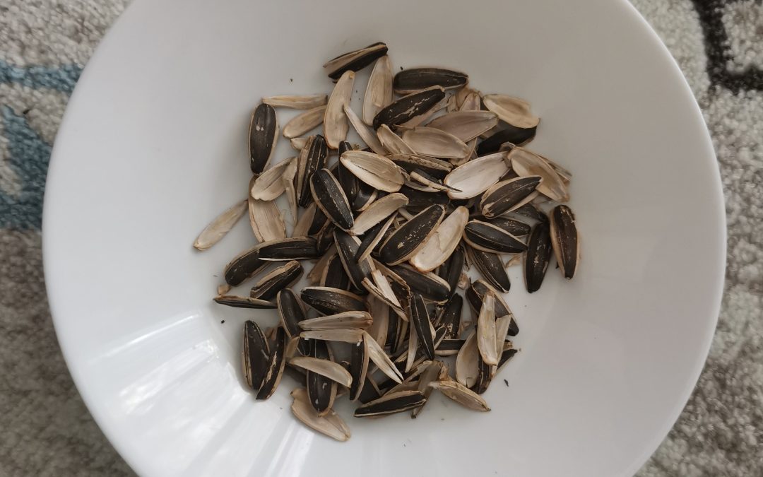 欧阳苏龙